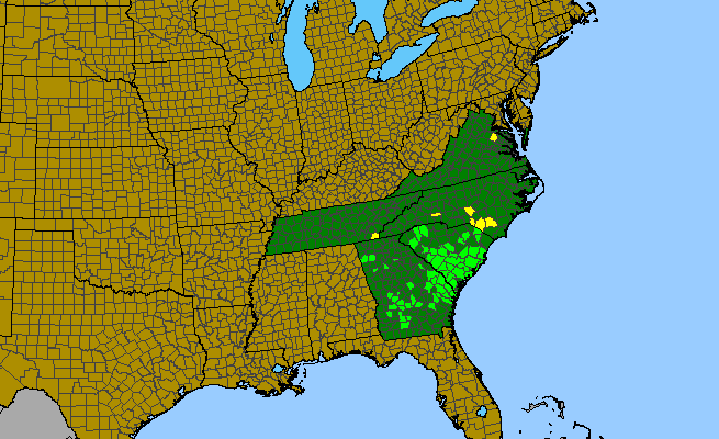 The range of Coreopsis delphiniifolia